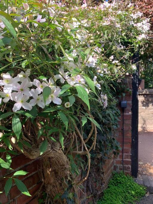 Beautiful Georgian Cottage Within A Private Walled Garden Oakham Exterior foto